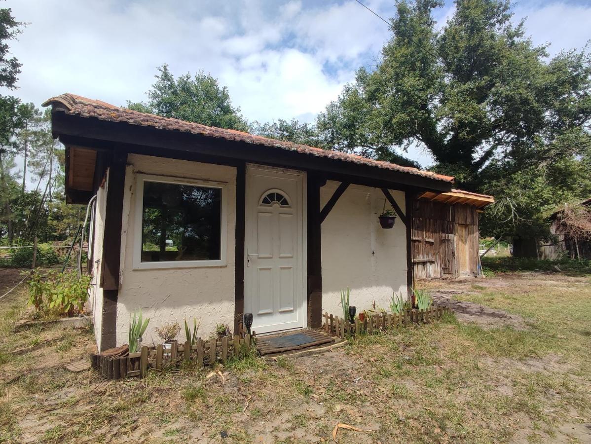 La Baraque Des Artistes Villa Laharie Kültér fotó